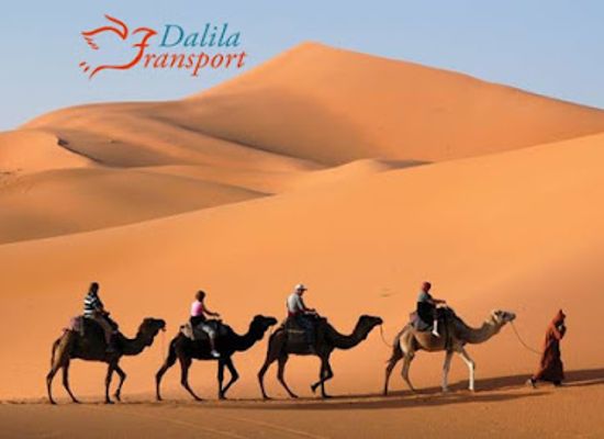 morocco/sahara-desert/landmark/morocco-desert-tours-marrakech-sahara-excursions