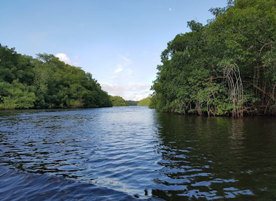 trinidad-and-tobago/nariva/landmark/caroni-bird-sanctuary