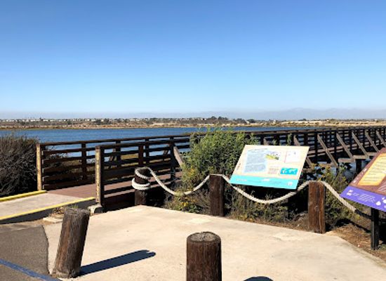 california/huntington-beach/bolsa-chica-state-beach/landmark/bolsa-chica-ecological-reserve