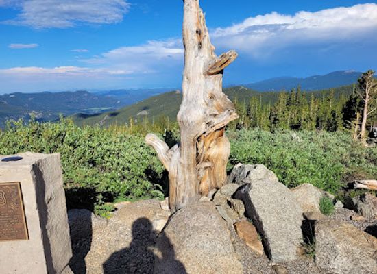colorado/eastern-plains/landmark/mount-goliath-natural-area-dos-chappell-nature-center