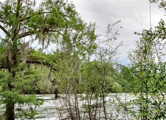florida/suwannee-river/landmark/suwannee-river-wilderness-state-trail