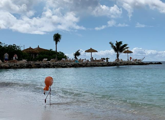 aruba/tanki-leendert/landmark/style-aruba-com-appt-only-book-online-or-call