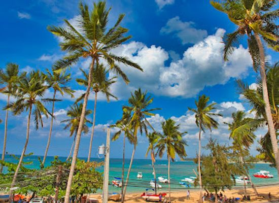 dominican-republic/samana-peninsula/landmark/marina-bay