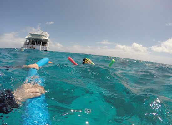 australia/port-douglas/landmark/poseidon-outer-reef-cruises