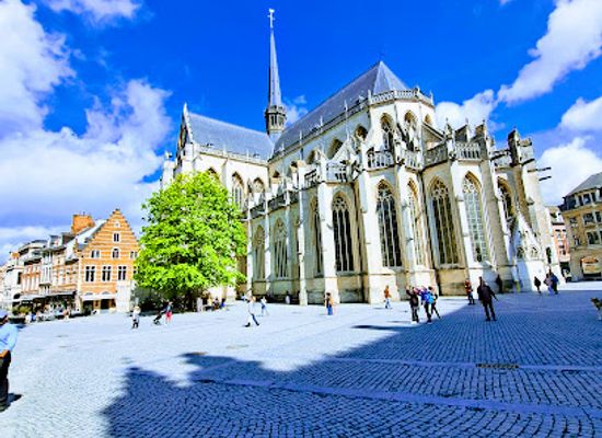 belgium/leuvense-vaart/landmark/saint-peter-s-church