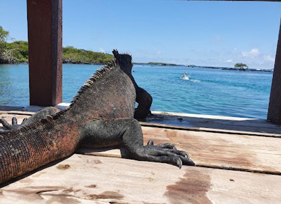 ecuador/galapagos-islands/landmark/pearl-shell