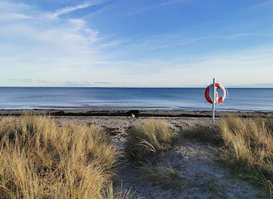 denmark/falster/attraction/det-falsterske-dige