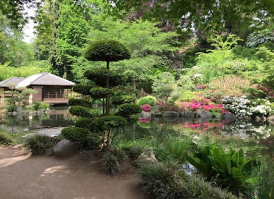 germany/lower-rhine/landmark/japanischer-garten-und-japan-imbiss
