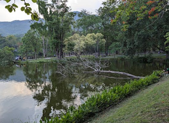 thailand/doi-suthep-pui-national-park/landmark/birds-watching