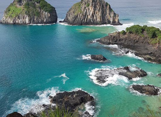 brazil/fernando-de-noronha/landmark/fundacao-projeto-tamar-fernando-de-noronha