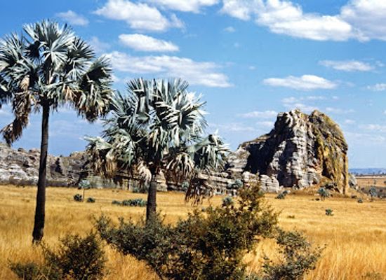 madagascar/anosy/landmark/nationalpark-andohahela