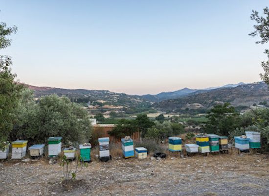 cyprus/machairas-forest/landmark/bee-embroidery-museum