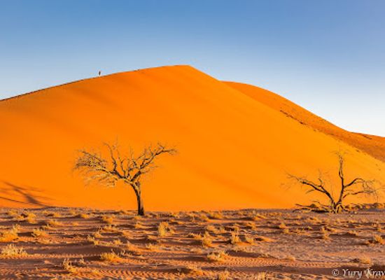namibia/skeleton-coast/landmark/namib-naukluft-national-park