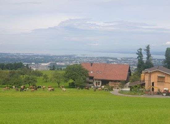 austria/dornbirn/landmark/kapelle-maria-hilf