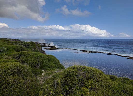 tonga/tongatapu-coastline/landmark/mapu-a-vaea-blowholes