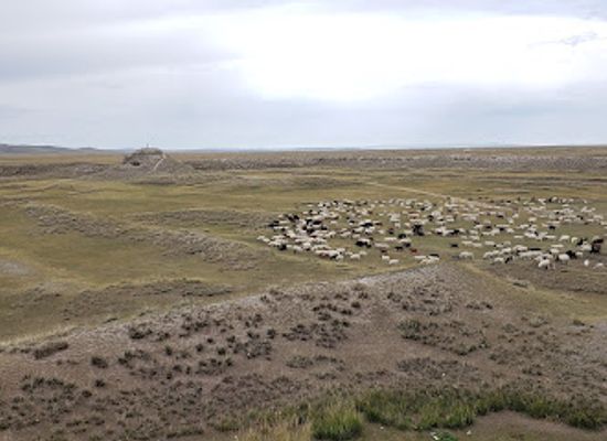 mongolia/khar-nuur/landmark/khar-balgas-ordu-baliq-otuken