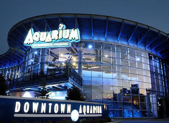 colorado/denver/landmark/downtown-aquarium