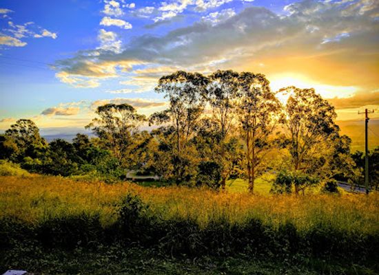 australia/mallee/landmark/mallanganee-national-park