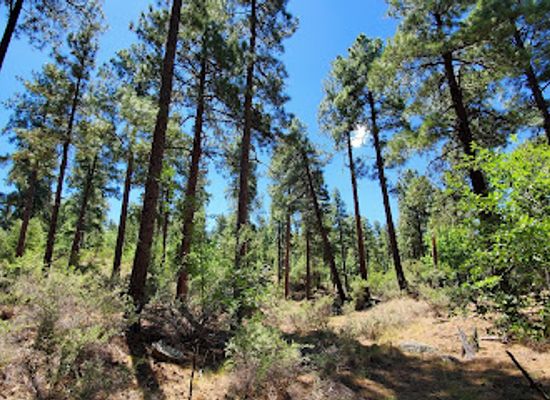 arizona/prescott-national-forest/landmark/groom-creek-schoolhouse