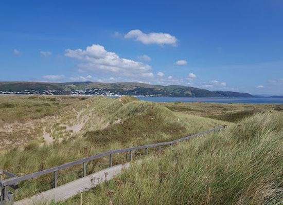 united-kingdom/gwynedd/attraction/ynyslas-sand-dunes-2