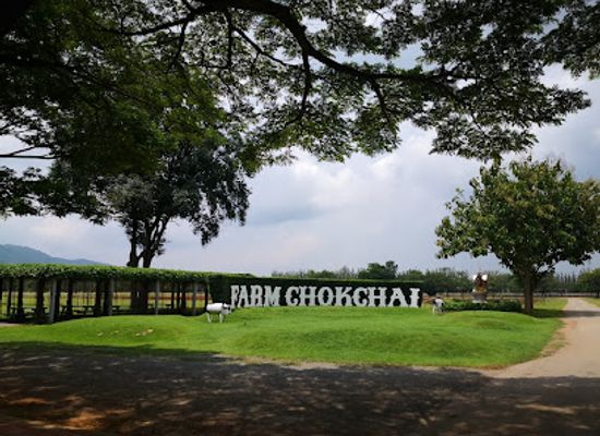 thailand/khao-yai/landmark/farm-chokchai
