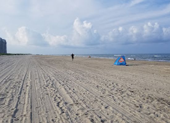 texas/south-padre-island/landmark/andy-bowie-county-park