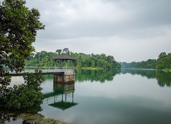 singapore/macritchie-reservoir/landmark/lornie-trail