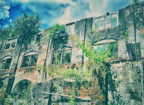 sri-lanka/western-province/landmark/thudugala-ella