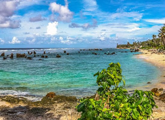 nauru/nibok/landmark/nibok-cemetery