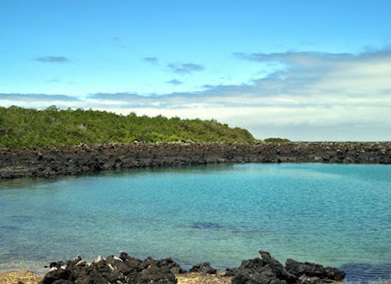 ecuador/galapagos-islands/landmark/isabela-island