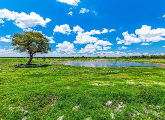 namibia/oshana/landmark/okaukuejo-etosha