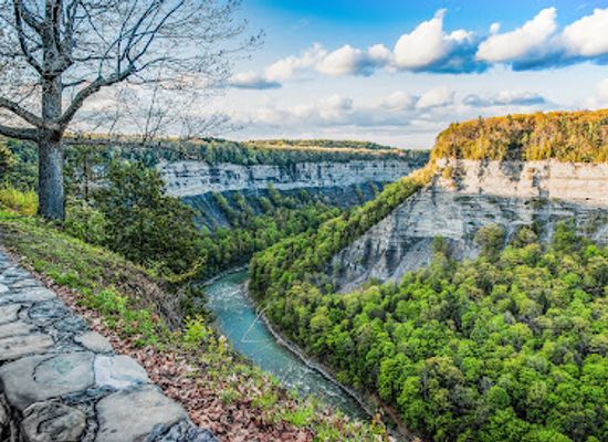 new-york/letchworth-state-park/landmark/archery-field-overlook
