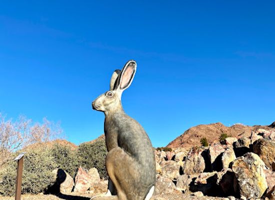 nevada/boulder-city/landmark/nature-discovery-trail-and-rock-garden