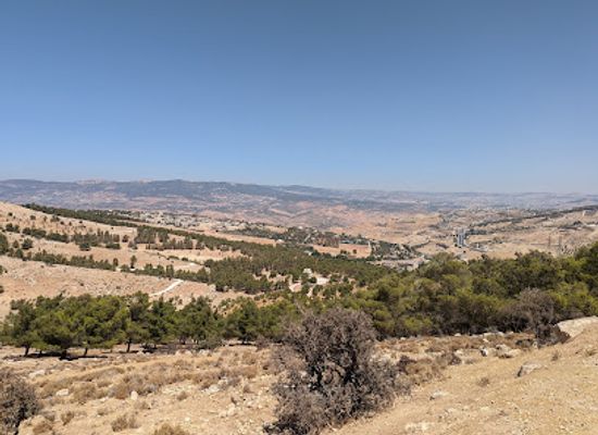 jordan/tafileh-highlands/landmark/wasfi-altal-forest-reserve