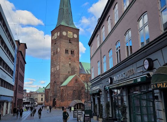 denmark/aarhus/ogadekvarteret/landmark/aarhus-cathedral