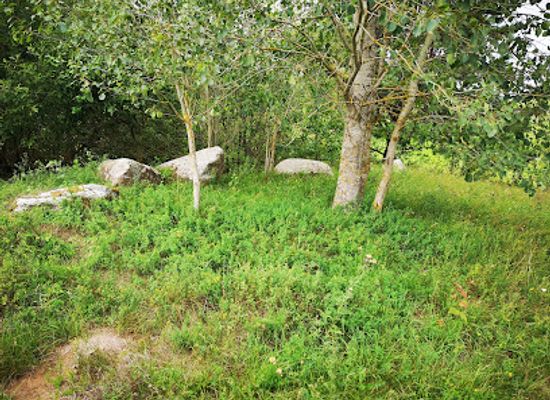 lithuania/aukstaitija/landmark/mezolito-laiku-astronominis-isdestymo-akmenys