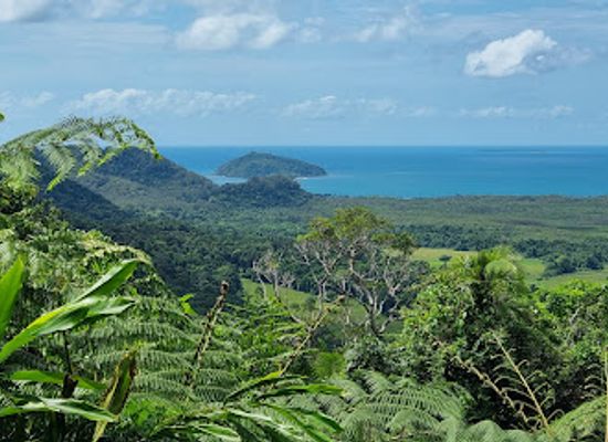 australia/far-north-queensland/landmark/daintree-national-park