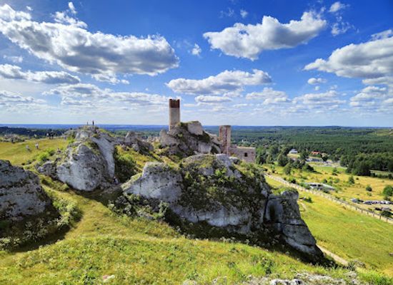 poland/czestochowa/landmark/castle-in-olsztyn