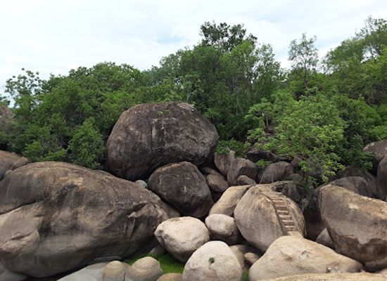 malawi/mchinji-highlands/landmark/lake-malawi-national-park-visitors-center