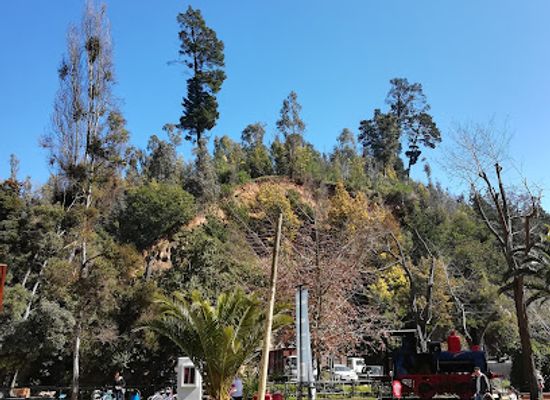 chile/vina-del-mar/landmark/artequin-museum-vina-del-mar