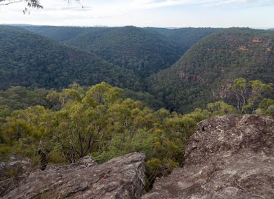 australia/blue-mountains-national-park/landmark/bunyan-lookout