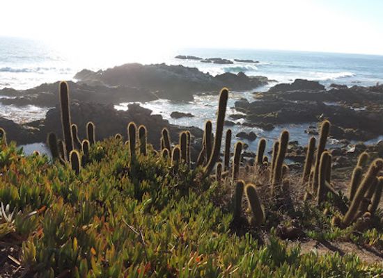 chile/pichilemu/landmark/la-cruz-del-surfista