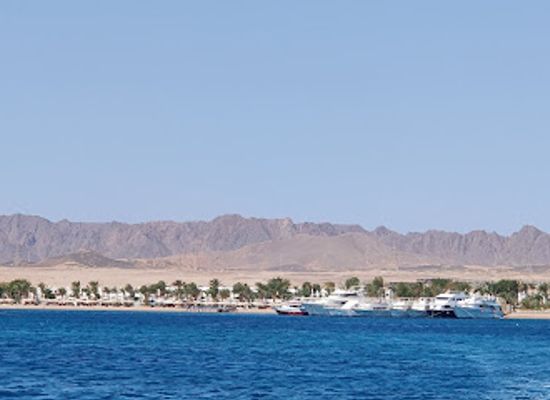 egypt/safaga/landmark/orca-dive-clubs-safaga