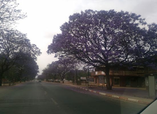 botswana/serowe/landmark/serowe-barcelos