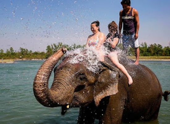 nepal/kathmandu-valley/landmark/chitwan-wildlife-safari