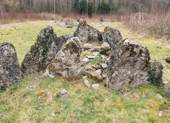 ireland/ulster-part-within-current-ireland/landmark/gartnanoul-megalithic-court-tomb