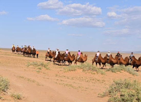 mongolia/mongolian-manchurian-grassland/landmark/visit-mongolia