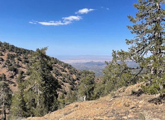 cyprus/troodos/landmark/atalanti-nature-trail-loop