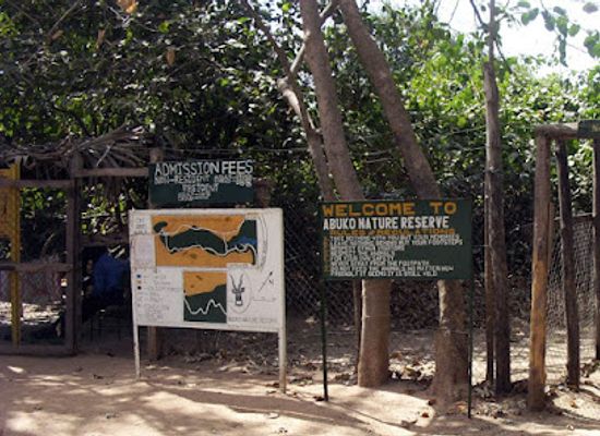 the-gambia/lower-river-region/landmark/abuko-nature-reserve
