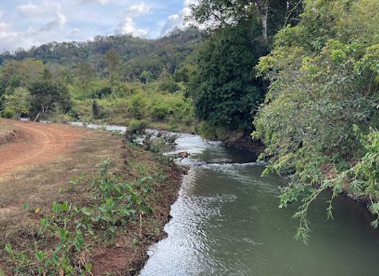 cambodia/mondulkiri-province/landmark/mondulkiri-project-elephant-sanctuary